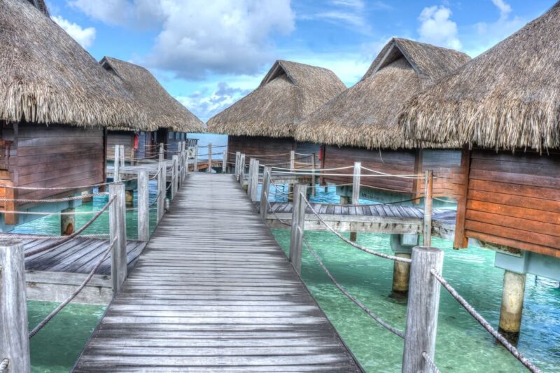 The World Is a Book, and Those Who Do Not Travel Read Only a Page
